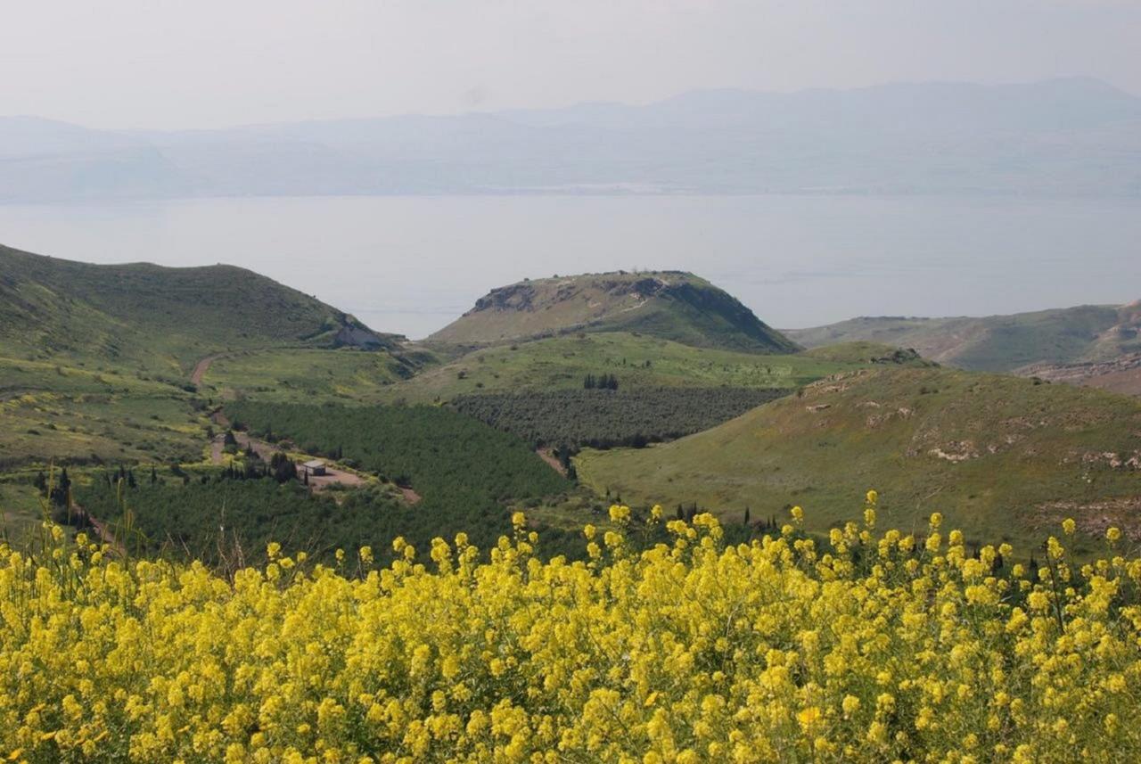 Lakeside Terrace Neot Golan 外观 照片